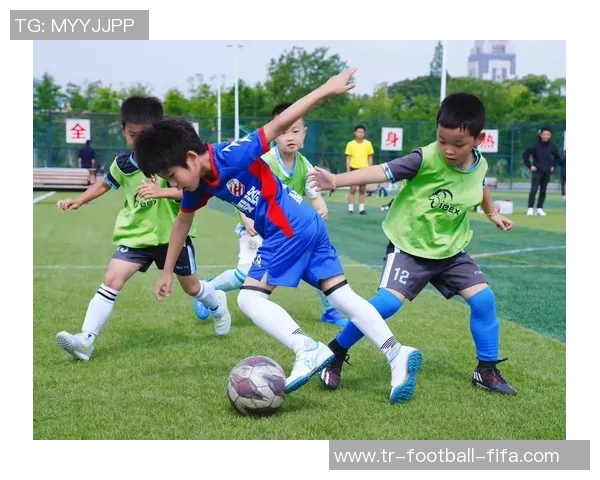 德国足球盛夏激情四溢球迷齐聚共庆绿茵梦想与荣耀